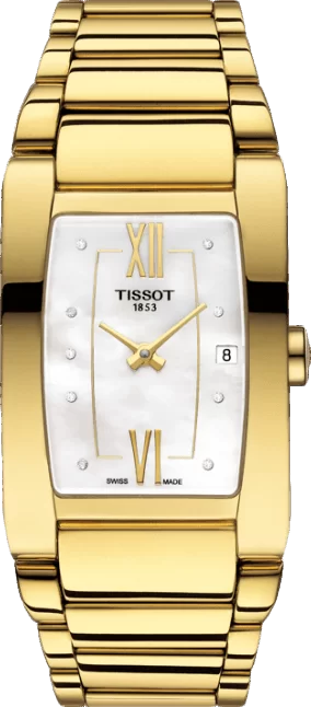 Tissot T105.309.33.116.00 � �����