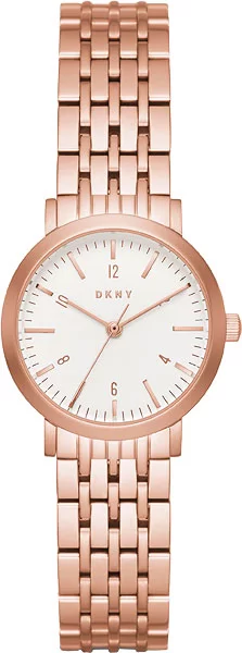 DKNY NY2511 � �����