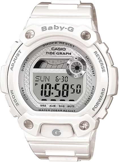 Casio BLX-100-7E � �����