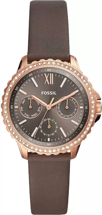 Fossil ES4889 � �����