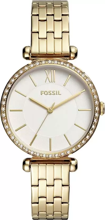 Fossil BQ3498 � �����