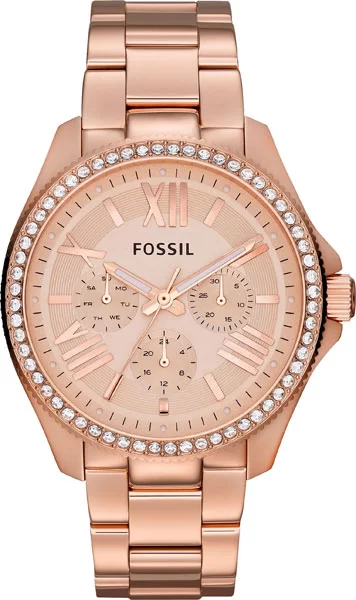 Fossil AM4483 � �����