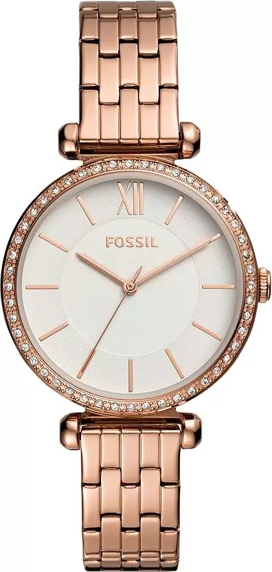 Fossil BQ3497 � �����