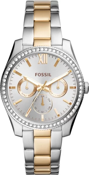 Fossil ES4316 � �����